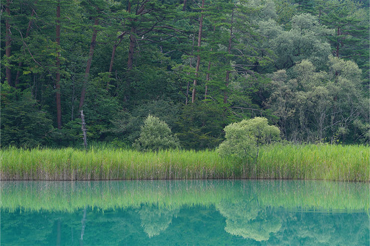 SONY（ソニー） α7R V、作例3