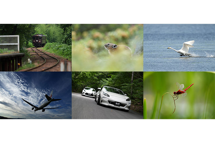 SONY（ソニー） α7R V 被写体認識AF作例