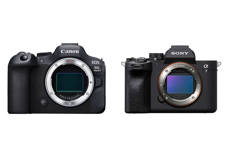 Canon EOS R6 Mark II、SONY α7 IV