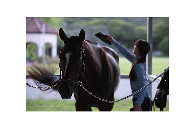 高画素撮影作例