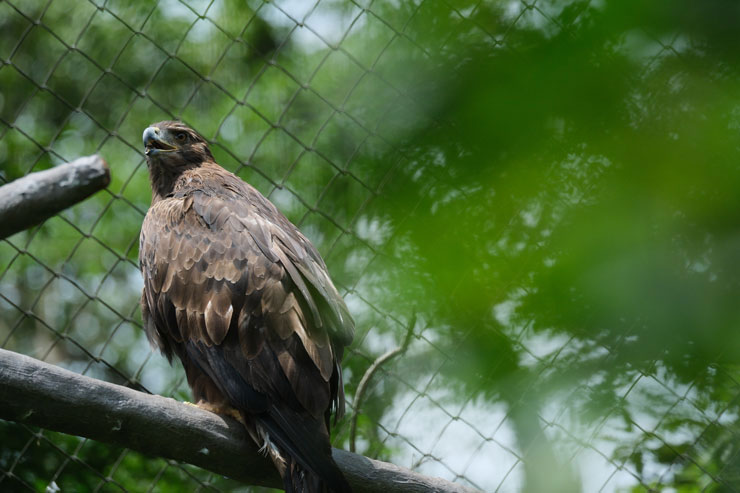 FUJIFILM（富士フイルム）被写体検出AF作例