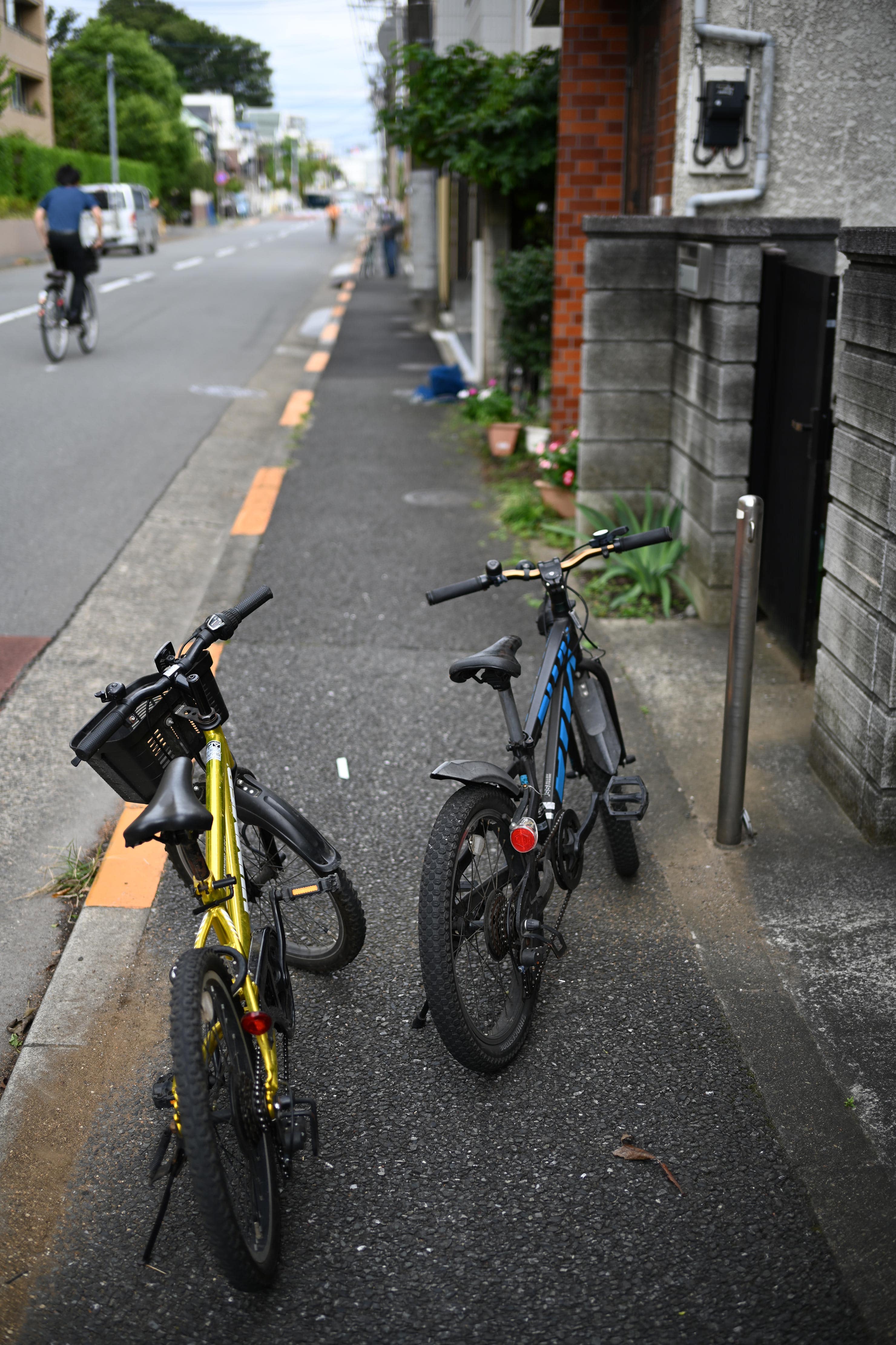Nikon NIKKOR Z 40mm f/2 レビュー × 落合憲弘 |「絞る楽しみ Nikon NIKKOR Z 40mm f/2 レビュー × 落合憲弘 |「絞る楽しみ