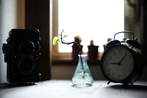 Kenko（ケンコー）ホワイトミスト No.1 ブラックミストNo.1、No.5との光線状態での比較 作例1