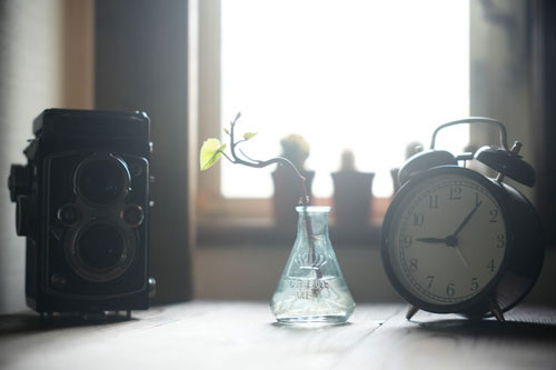 Kenko（ケンコー）ホワイトミスト No.1 ブラックミストNo.1、No.5との光線状態での比較 作例2