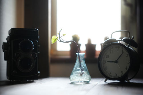 Kenko（ケンコー）ホワイトミスト No.1 ブラックミストNo.1、No.5との光線状態での比較 作例3