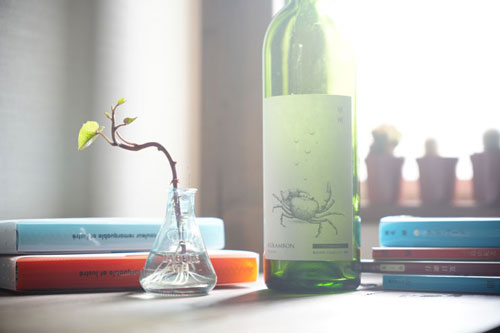 Kenko（ケンコー）ホワイトミスト No.1 色の変化の比較 作例2