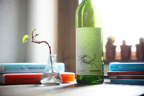 Kenko（ケンコー）ホワイトミスト No.1 色の変化の比較 作例3