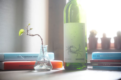 Kenko（ケンコー）ホワイトミスト No.1 色の変化の比較 作例4