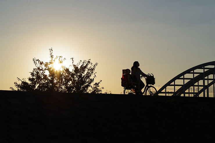 PENTAX K-1 MarkⅡ・HD PENTAX-D FA MACRO 100mm F2.8ED AWで撮影した夕方の土手の画像