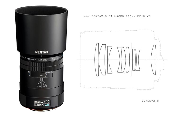 PENTAX SMC D FAマクロ100F2.8 - レンズ(単焦点)
