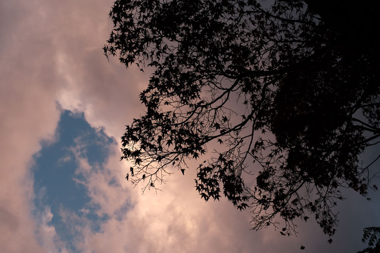 SIGMA（シグマ）18-50mm F2.8 DC DN | Contemporary 作例8