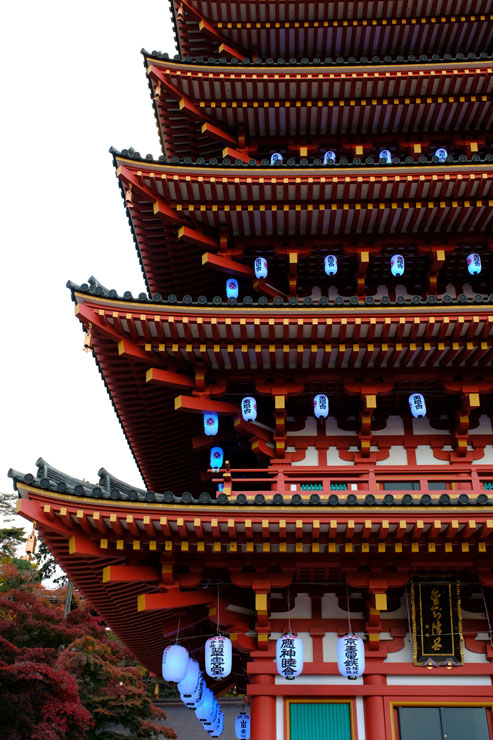 SIGMA（シグマ）18-50mm F2.8 DC DN | Contemporary 作例6