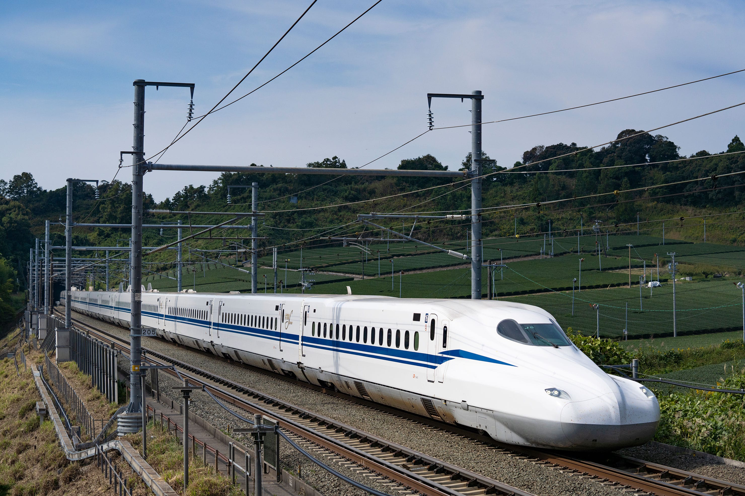 隠し撮り電車接写 