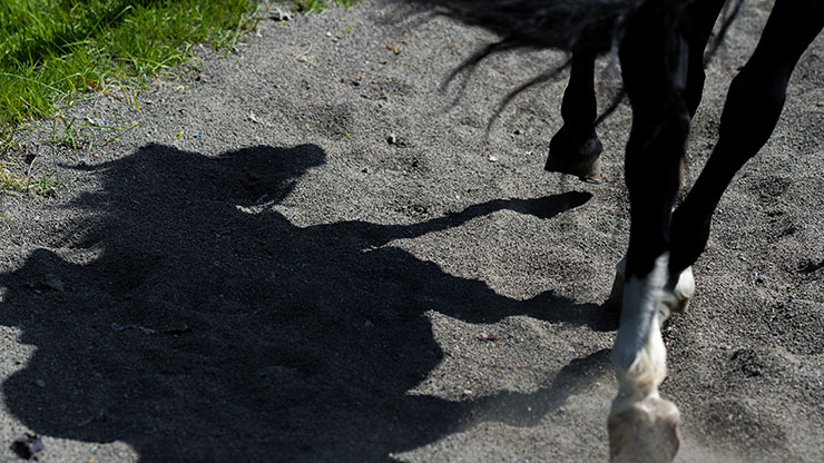 シグマfp L・65mm F２DG DNで撮影した馬の影の画像