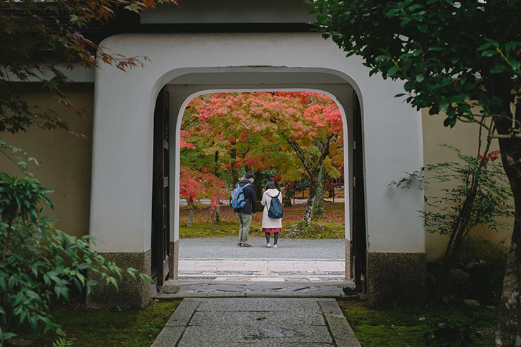 FUJIFILM（富士フイルム）X-T5・フジノンXF30mmF2.8 R LM WR Macroで撮影した紅葉した木々と男女の画像