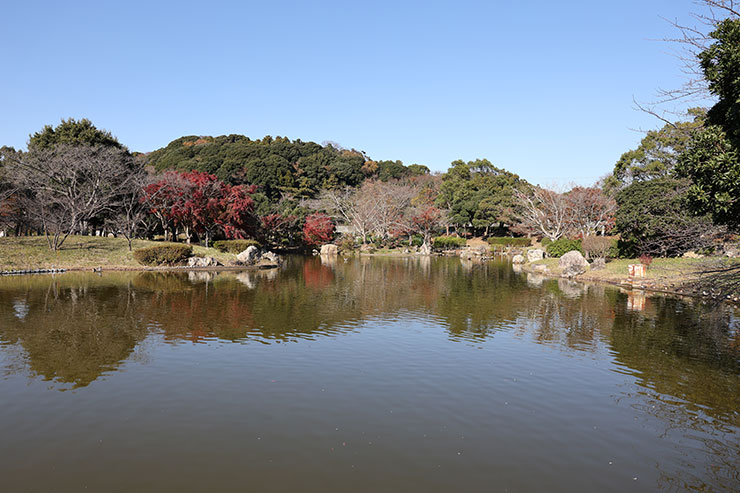 EOS R6 MarkⅡ・RF24-70mm F2.8 L IS USMで撮影した湖と木々の景色画像