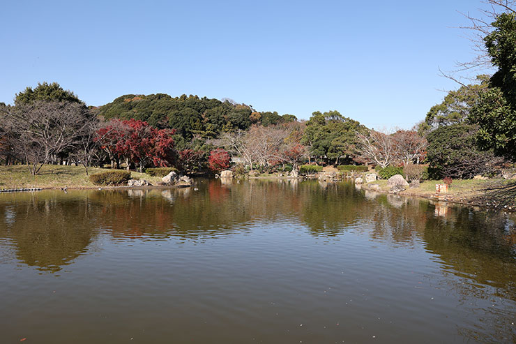 EOS R6・RF24-70mm F2.８ L IS USMで撮影した湖と木々の景色画像