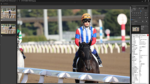 被写体検出「自動」・RF100-500mm F4.5-7.1 L IS USMで撮影した撮影した黒い馬と白い馬の画像キャプチャ