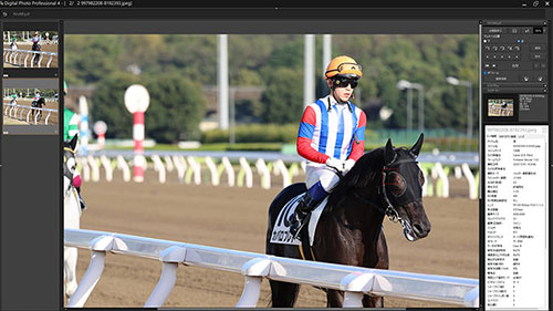 被写体検出「自動」・RF100-500mm F4.5-7.1 L IS USMで撮影した黒い馬と白い馬が歩いてくる画像キャプチャ