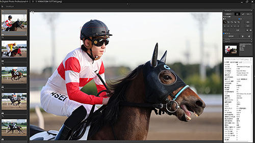 被写体検出「自動」・RF70-200mm F2.8L IS USMで撮影した赤白のユニフォームを着た騎手と馬の画像キャプチャ