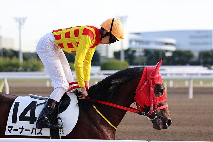 被写体検出「自動」・RF70-200mm F2.8L IS USMで撮影した赤と黄色のユニフォームの騎手と馬の画像