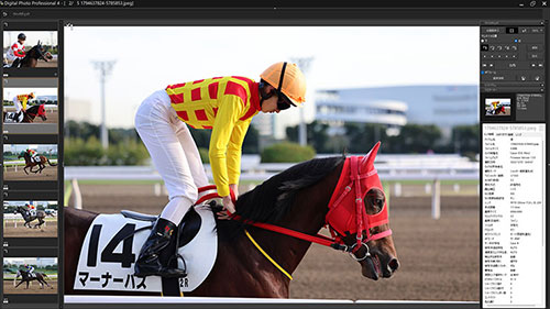 被写体検出「自動」・RF70-200mm F2.8L IS USMで撮影した赤と黄色のユニフォームの騎手と馬のキャプチャ画像