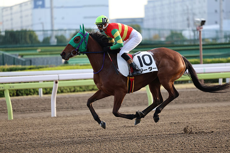 被写体検出「自動」・RF70-200mm F2.8L IS USMで撮影した緑の帽子の騎手と馬の画像