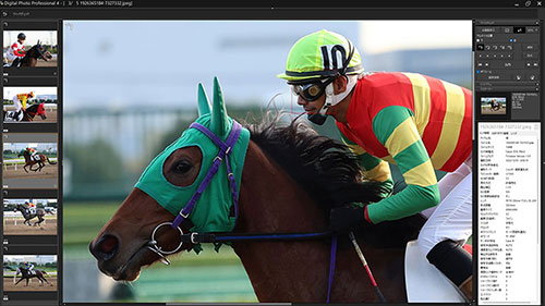 被写体検出「自動」・RF70-200mm F2.8L IS USMで撮影した緑の帽子の騎手と馬のキャプチャ画像