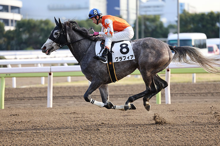 被写体検出「自動」・RF70-200mm F2.8L IS USMで撮影した騎手と芦毛の馬の画像