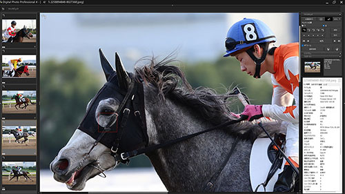 被写体検出「自動」・RF70-200mm F2.8L IS USMで撮影した騎手と芦毛の馬の画像キャプチャ