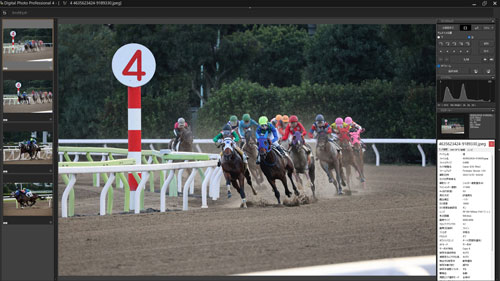 被写体検出「動物優先」・RF100-500mm F4.5-7.1 L IS USMで撮影した最終コーナーに走ってくる馬のキャプチャ画像