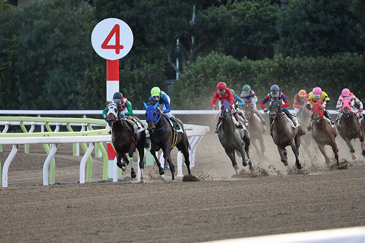 被写体検出「動物優先」・RF100-500mm F4.5-7.1 L IS USMで撮影した最終コーナーを曲がった馬の画像