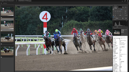 被写体検出「動物優先」・RF100-500mm F4.5-7.1 L IS USMで撮影した最終コーナーを曲がった馬のキャプチャ画像