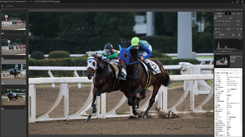 被写体検出「動物優先」・RF100-500mm F4.5-7.1 L IS USMで撮影した競う２頭の馬のキャプチャ画像