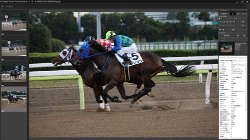 被写体検出「動物優先」・RF100-500mm F4.5-7.1 L IS USMで撮影したゴール前の馬の画像キャプチャ