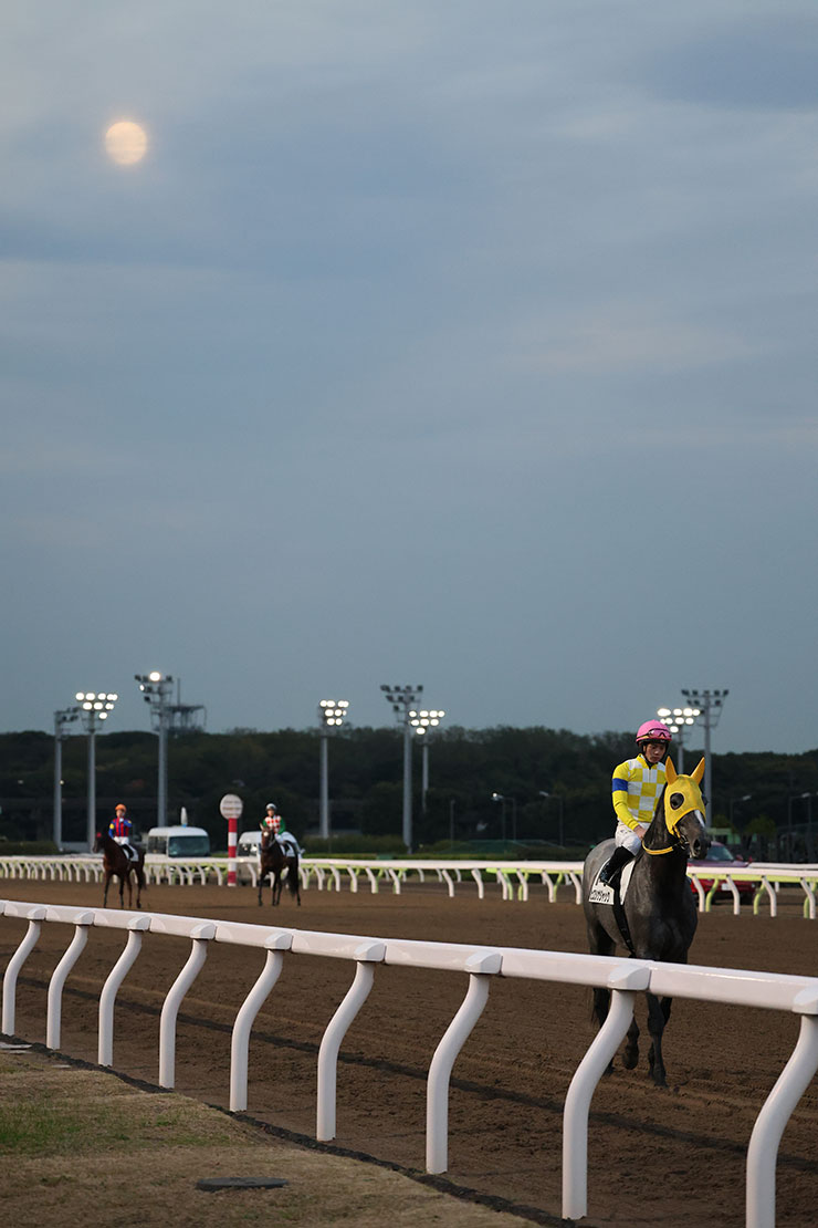 被写体検出「動物優先」・RF100-500mm F4.5-7.1 L IS USMで撮影した月が見える競馬場の画像