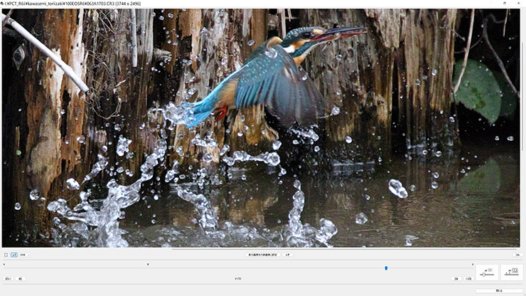 RAWバースト画像ツールの表示画面