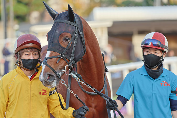 HDR動体優先撮影の馬を引く人の画像
