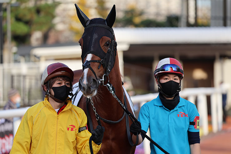 通常撮影の馬を引く人の画像