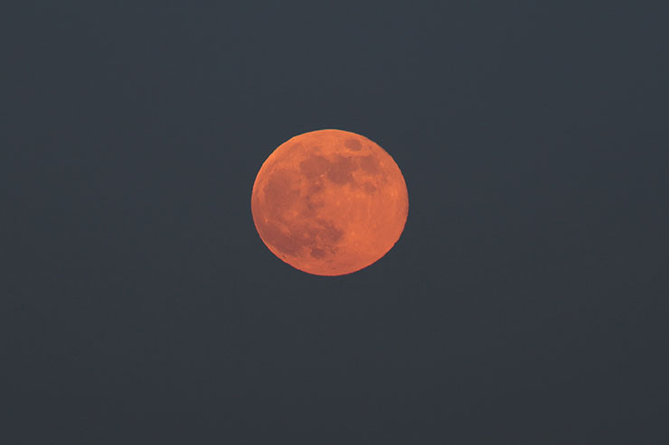 ×2.0デジタルテレコン（1000mm相当）で撮影した満月の画像