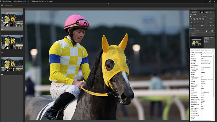 被写体検出「動物優先」・RF100-500mm F4.5-7.1 L IS USMで撮影した黄色のユニフォーム姿の騎手と馬の連写画像１枚目キャプチャー画像