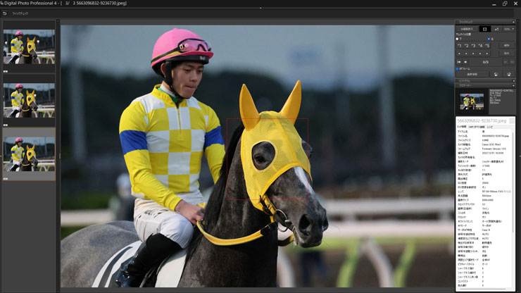 被写体検出「動物優先」・RF100-500mm F4.5-7.1 L IS USMで撮影した黄色のユニフォーム姿の騎手と馬の連写画像3枚目キャプチャー画像