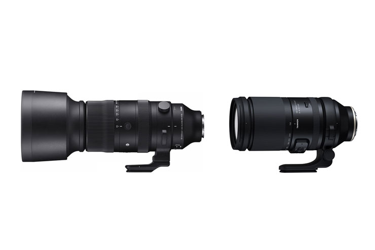 SIGMA（シグマ）60-600mm F4.5-6.3 DG DN OS | Sports 解像感作例