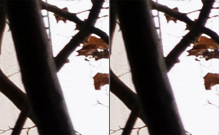 SONY α1・20mmで撮影ビルの間の木々の画像の拡大画像
