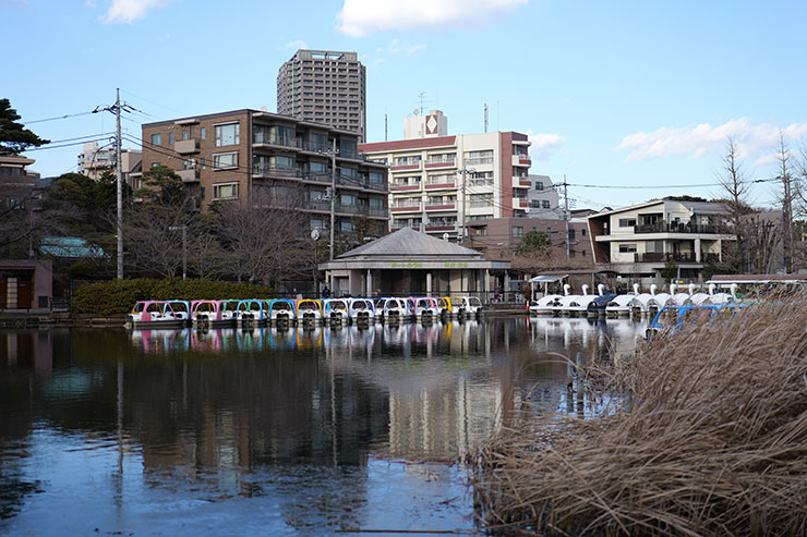 LUMIX S 50mm F1.8・50mmで撮影した湖に浮かぶボートの画像