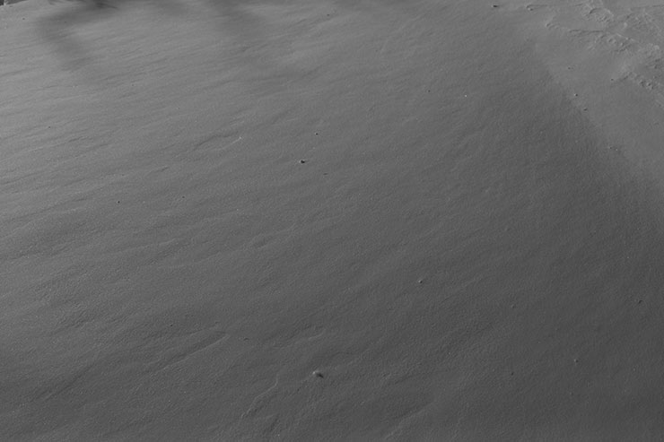 LUMIX S 20-60mm F3.5-5.6・33mmで撮影した雪景色の画像