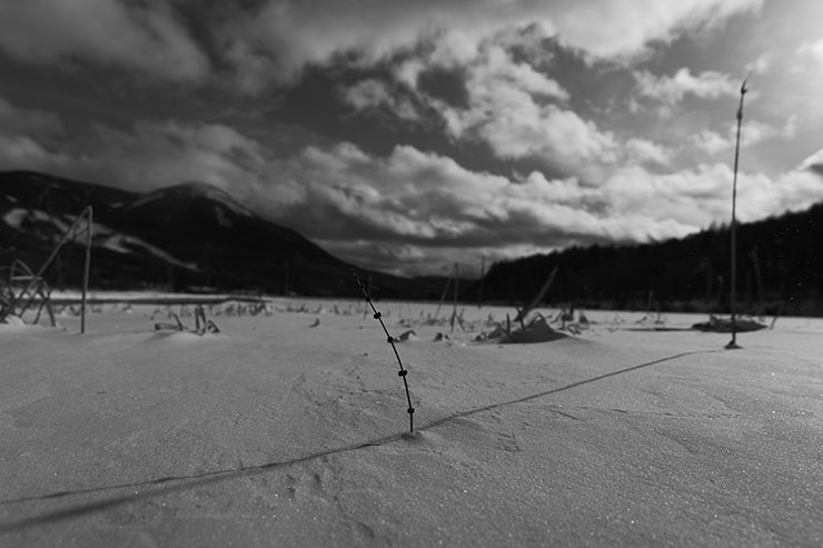 LUMIX S 20-60mm F3.5-5.6・20mmで撮影したモノクロの雪景色の画像