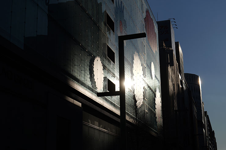 LUMIX S 20-60mm F3.5-5.6・60mmで撮影した陽の光で輝く建物の画像