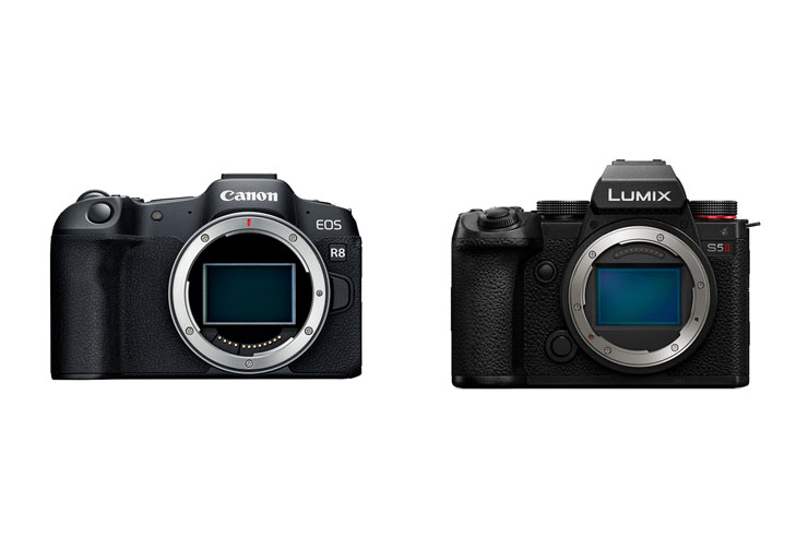 Canon（キヤノン） EOS R8、Panasonic LUMIX S5II