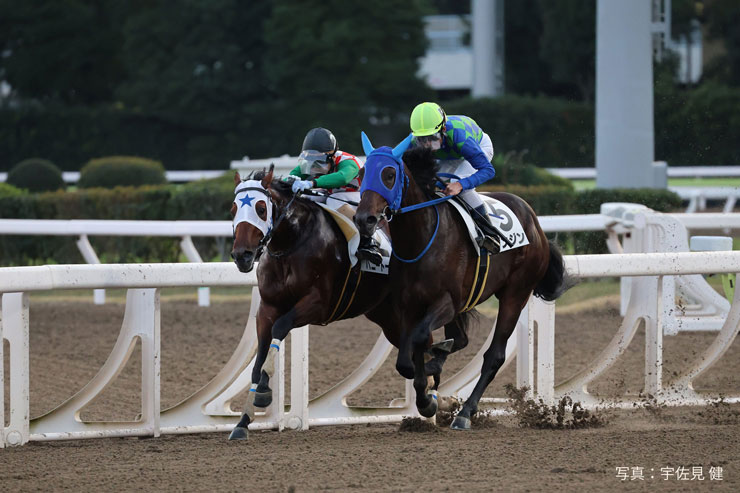 Canon（キヤノン） 被写体認識AF作例